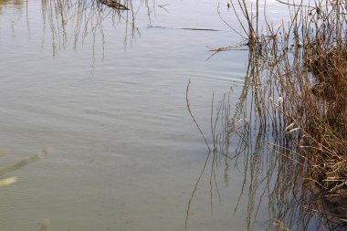 su renk ve Akdeniz kıyıları kapalı yansımalar 