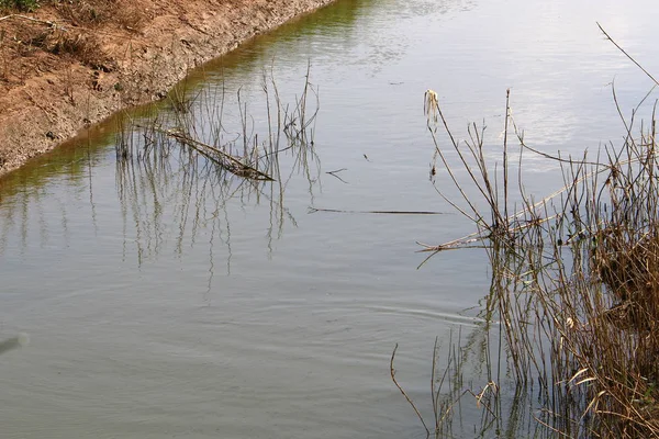 su renk ve Akdeniz kıyıları kapalı yansımalar 