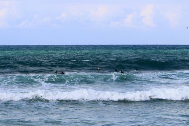 Sörf - özel ışık kurullarında Akdeniz dalgaları sürme. 