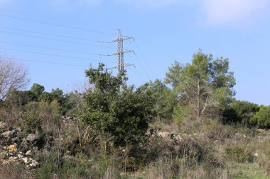 elektrik direği ve kablo üzerinden elektrik geçerli akar 