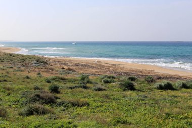 İsrail devleti topraklarının Akdeniz'de Sahili 