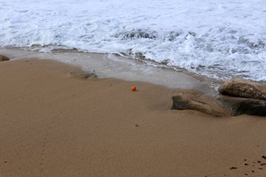 İsrail devleti topraklarının Akdeniz'de Sahili 