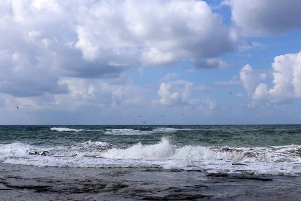 Kust Van Middellandse Zee Het Grondgebied Van Staat Israël — Stockfoto