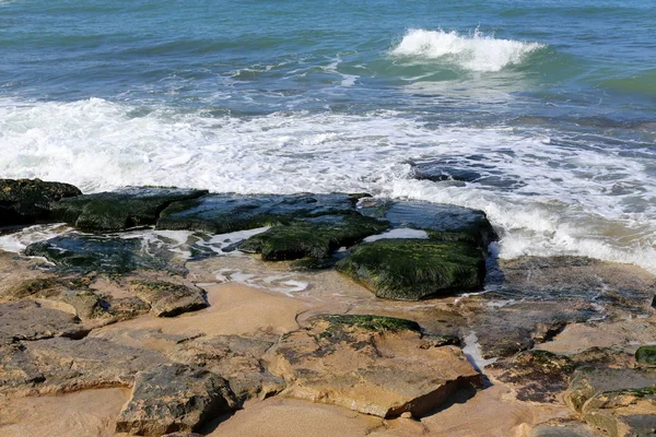 Kust Van Middellandse Zee Het Grondgebied Van Staat Israël — Stockfoto