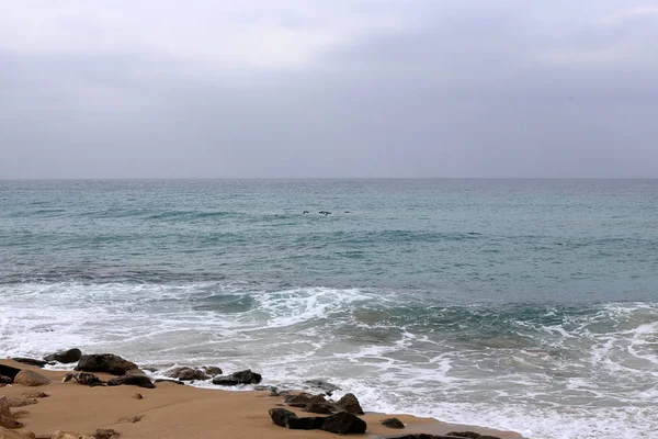 Littoral Mer Méditerranée Sur Territoire État Israël — Photo