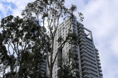 Tel Aviv - İsrail Akdeniz'in doğu kıyısında bir şehir 