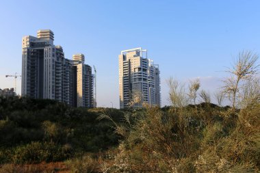 Netanya İsrail Akdeniz kıyısında orta kısmında bir şehirdir. 