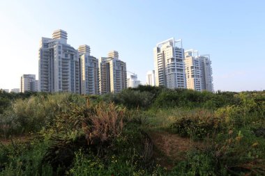 Netanya İsrail Akdeniz kıyısında orta kısmında bir şehirdir. 