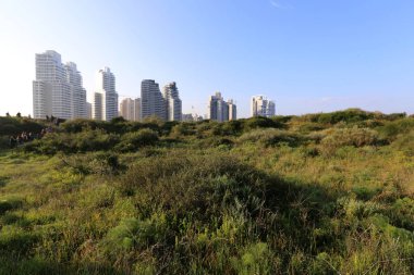 Netanya İsrail Akdeniz kıyısında orta kısmında bir şehirdir. 