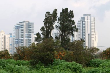 Netanya İsrail Akdeniz kıyısında orta kısmında bir şehirdir. 