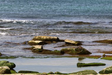 Akdeniz'de İsrail devletinin kuzey kıyısında 