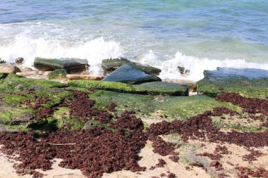 Akdeniz'de İsrail devletinin kuzey kıyısında 