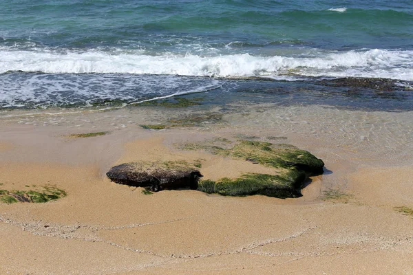 イスラエル共和国の州の北の地中海の海岸 — ストック写真