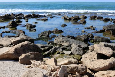 taşlar ve kabukları Kuzey İsrail'Akdeniz kıyısında 
