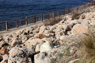taşlar ve kabukları Kuzey İsrail'Akdeniz kıyısında 
