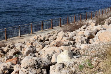 taşlar ve kabukları Kuzey İsrail'Akdeniz kıyısında 