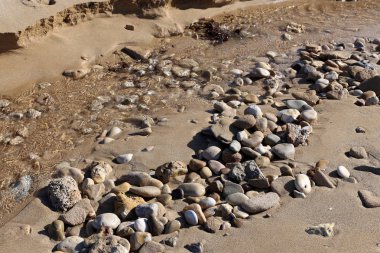 taşlar ve kabukları Kuzey İsrail'Akdeniz kıyısında 