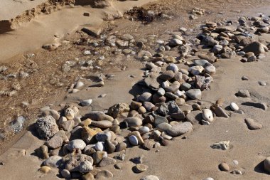 taşlar ve kabukları Kuzey İsrail'Akdeniz kıyısında 