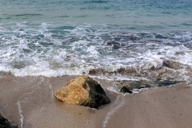 taşlar ve kabukları Kuzey İsrail'Akdeniz kıyısında 