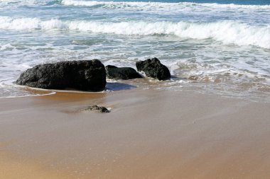 taşlar ve kabukları Kuzey İsrail'Akdeniz kıyısında 