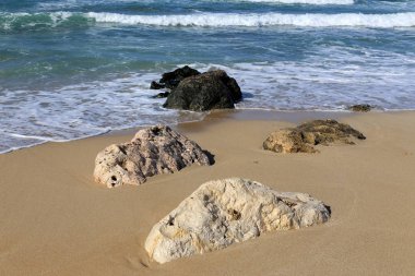 taşlar ve kabukları Kuzey İsrail'Akdeniz kıyısında 
