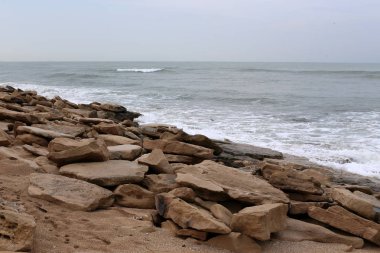 taşlar ve kabukları Kuzey İsrail'Akdeniz kıyısında 