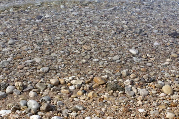 Steine Und Muscheln Den Ufern Des Mittelmeeres Norden Islands — Stockfoto