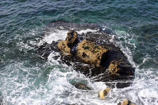 Taşlar Kabukları Kuzey Srail Akdeniz Kıyısında — Stok fotoğraf