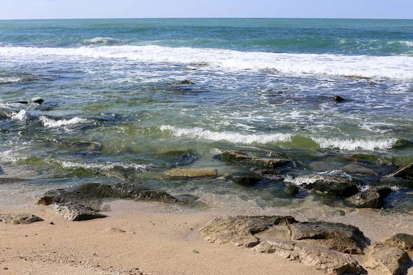 Stenen Schelpen Oevers Van Middellandse Zee Noord Israël — Stockfoto