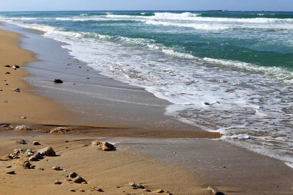 Piedras Conchas Las Orillas Del Mediterráneo Norte Israel —  Fotos de Stock