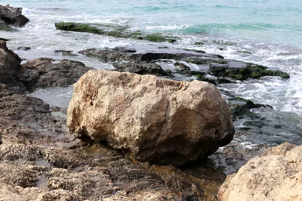 Stenar Och Snäckor Stranden Medelhavet Norra Israel — Stockfoto