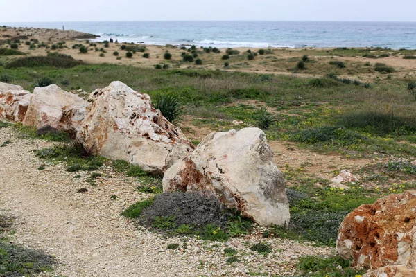 以色列北部地中海沿岸的石头和贝壳 — 图库照片