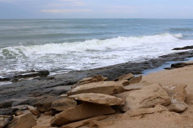 taşlar ve kabukları Kuzey İsrail'Akdeniz kıyısında 