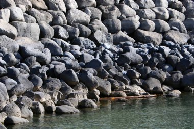 taşlar ve kabukları Kuzey İsrail'Akdeniz kıyısında 