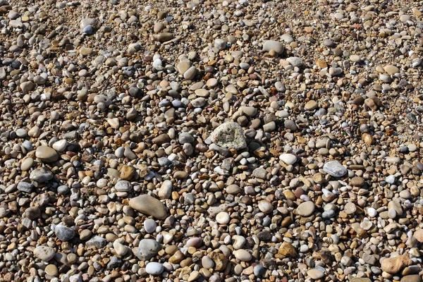Камені Снарядів Березі Середземного Моря Північному Ізраїлі — стокове фото