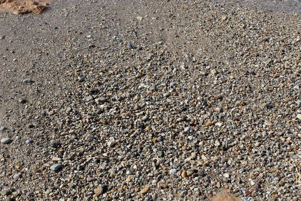 Pedras Conchas Nas Margens Mediterrâneo Norte Israel — Fotografia de Stock