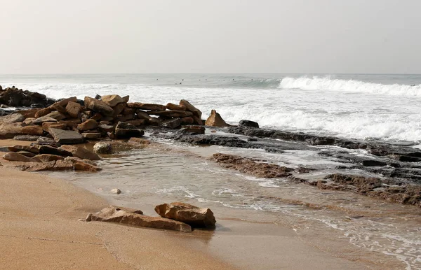 Piedras Conchas Las Orillas Del Mediterráneo Norte Israel — Foto de Stock