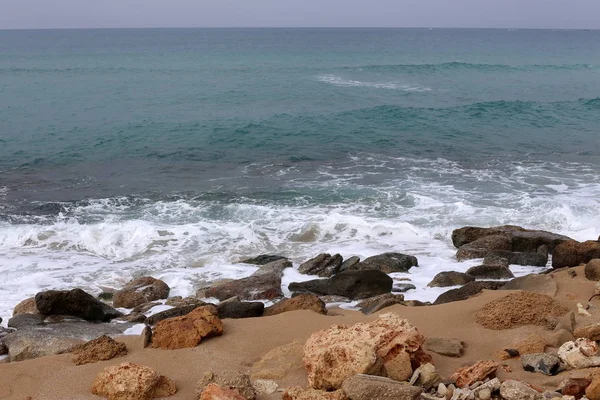 taşlar ve kabukları Kuzey İsrail'Akdeniz kıyısında 