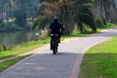 tekerlek - serbestçe döndürerek veya bir dönem eksen üzerinde sabit disk 