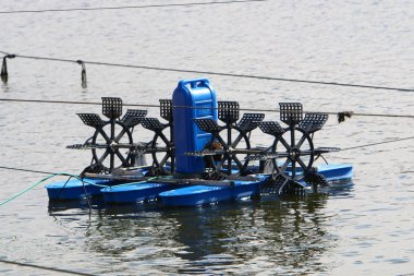 tekerlek - serbestçe döndürerek veya bir dönem eksen üzerinde sabit disk 