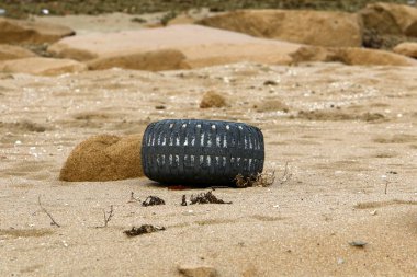 tekerlek - serbestçe döndürerek veya bir dönem eksen üzerinde sabit disk 