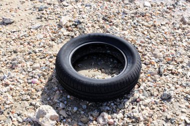 tekerlek - serbestçe döndürerek veya bir dönem eksen üzerinde sabit disk 