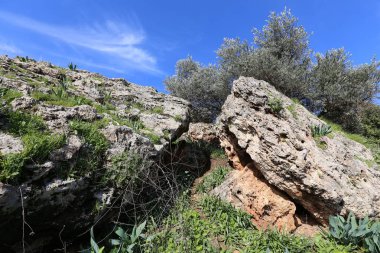 Kuzey İsrail eski şehir parkında taş yalan 