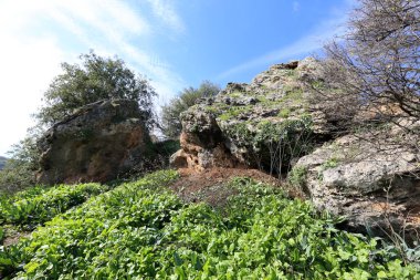 Kuzey İsrail eski şehir parkında taş yalan 