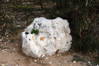 Kuzey İsrail eski şehir parkında taş yalan 