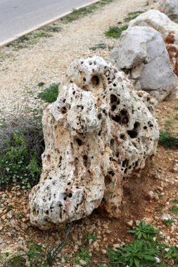 Kuzey İsrail eski şehir parkında taş yalan 