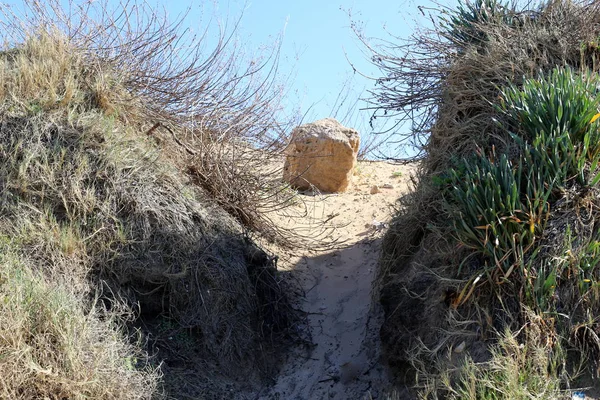 Kuzey İsrail eski şehir parkında taş yalan 