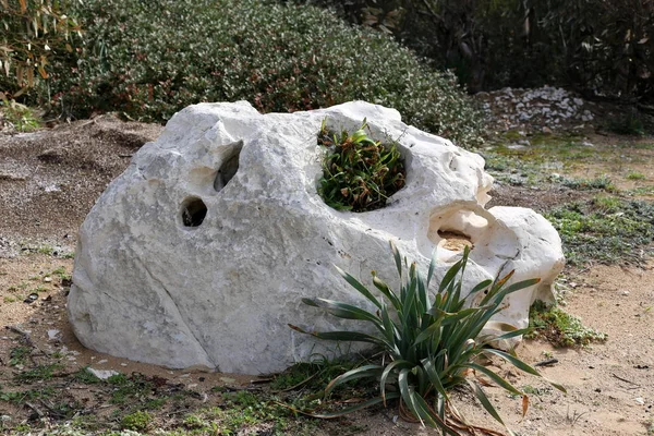 Kuzey İsrail eski şehir parkında taş yalan 