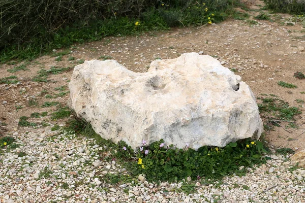 Stenarna Ligger Den Gamla Stadsparken Norra Israel — Stockfoto