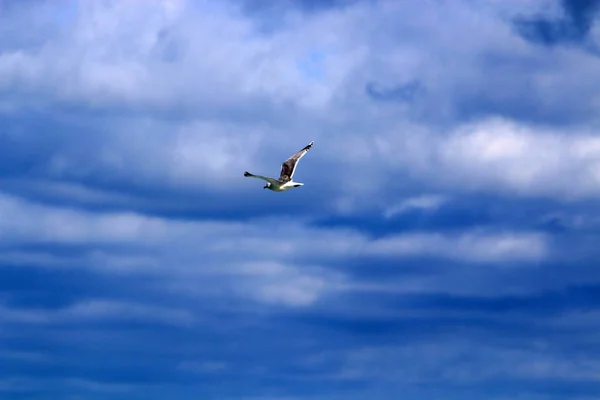 Type Color Sky Depends Time Day Season Main Weather — Stock Photo, Image